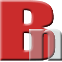 Biggynerd-Logo
